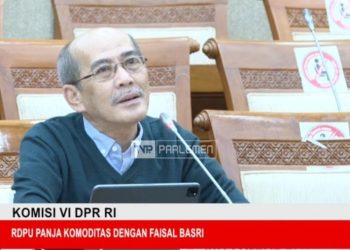 Selamat Jalan Faisal Basri