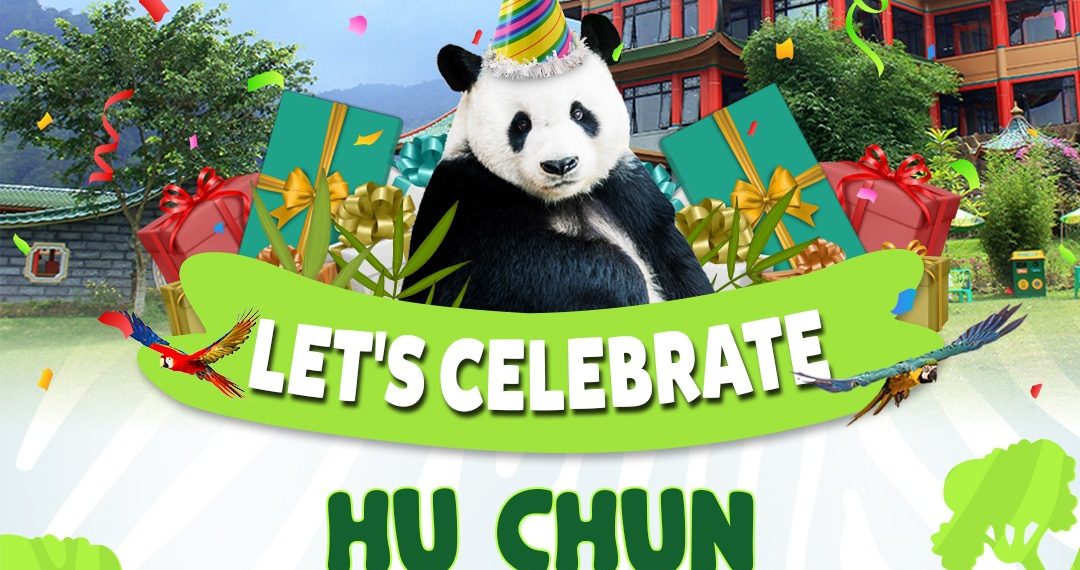 Yuk Saksikan Perayaan Ulang Tahun Hu Chun ke-14 di Taman Safari Bogor: Akan Ada Game dan Event Seru!