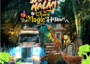 Nikmati Keseruan dan Uji Adrenalinmu di Safari Malam Edisi Spesial Halloween 2024!