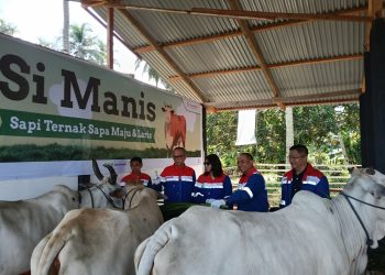 Elnusa Kenalkan “Si Manis”, Demi  Dongkrak Pertumbuhan Ekonomi Minahasa Selatan
