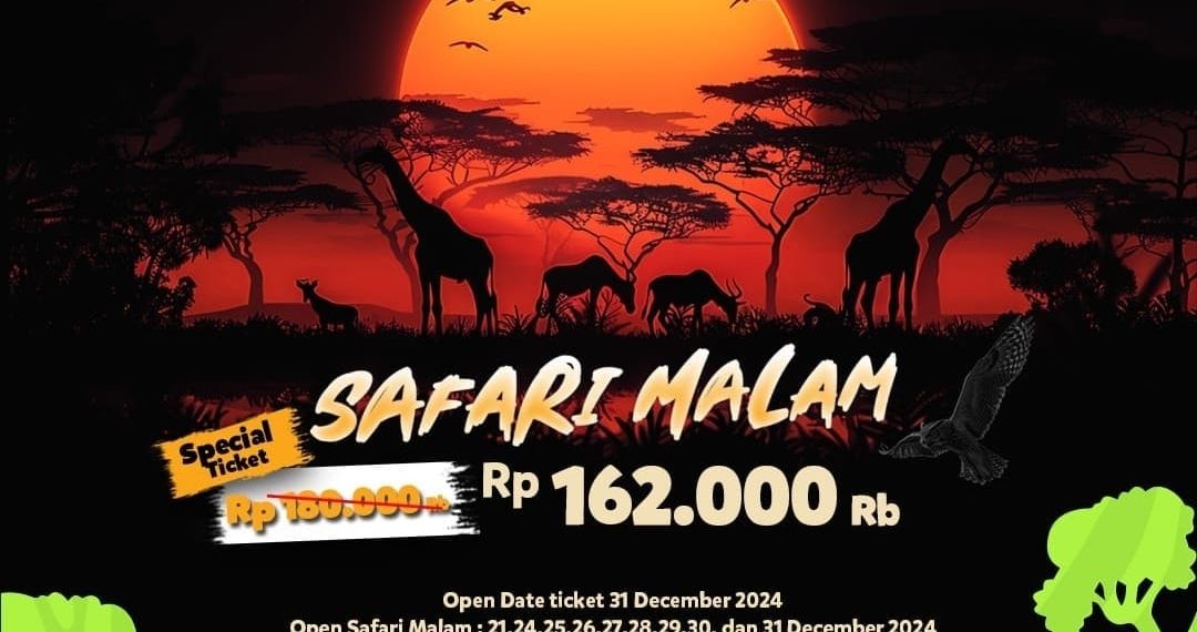 Safari Malam, Petualangan Tak Terlupakan di Taman Safari Bogor!