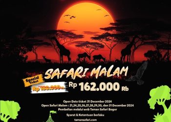 Safari Malam, Petualangan Tak Terlupakan di Taman Safari Bogor!