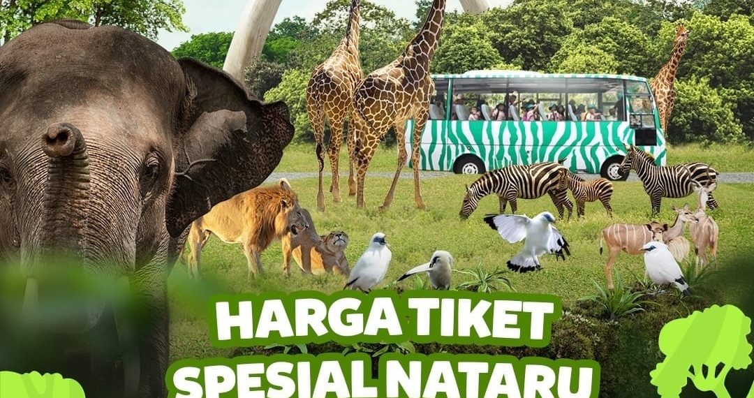 Rayakan Libur Nataru Seru di Taman Safari Bogor!