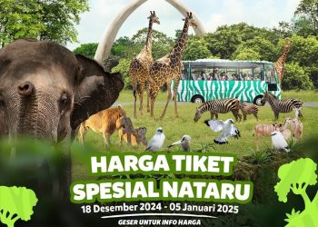 Rayakan Libur Nataru Seru di Taman Safari Bogor!