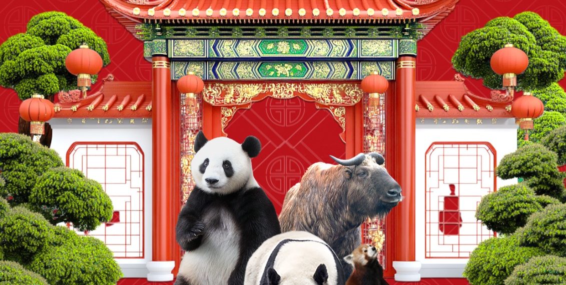 Taman Safari Bogor Meriahkan Imlek dengan Atraksi Barong, Liong, Noodle Festival di Istana Panda & Staycation di Safari Resort