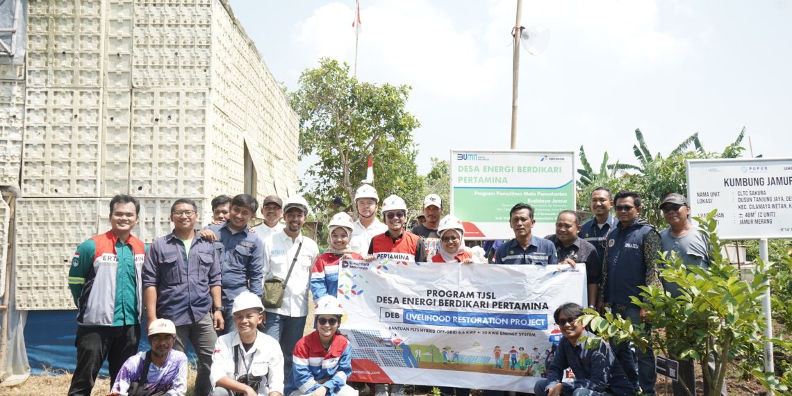 Manfaatkan PLTS, Pertamina NRE Dongkrak Pertanian di Cilamaya