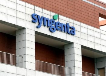 Syngenta Hadirkan Incipio® 200 SC, Solusi Inovatif Lawan Hama Penggerek Batang Padi
